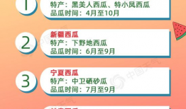 爆料吃瓜文案哪里找,吃瓜文案背后的秘密与技巧